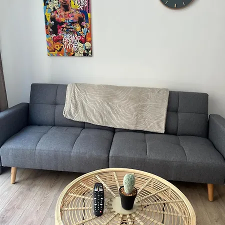 F1 Cosy 1 아파트 *